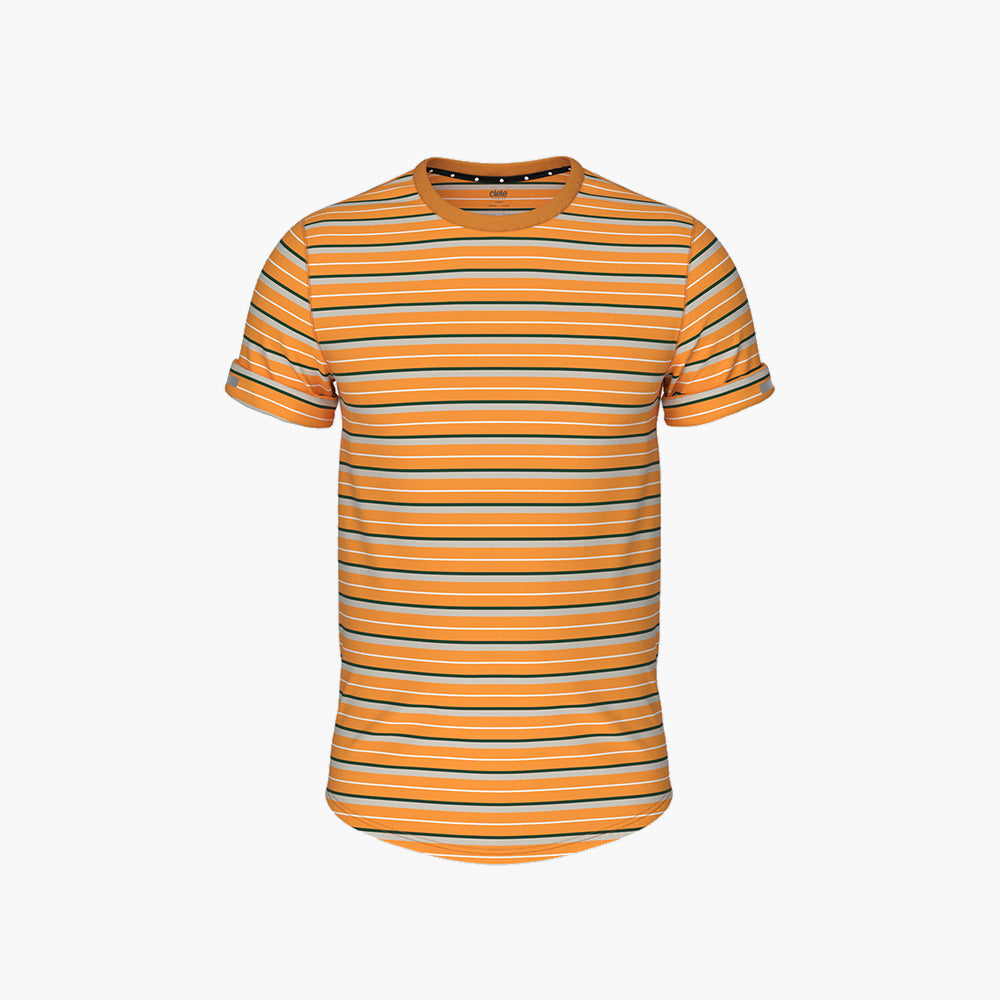 ciele-nsbtshirt-t-shirt-herren-school-daze-stripe image 1